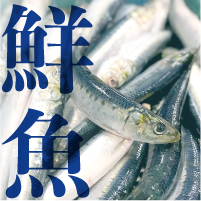 鮮魚